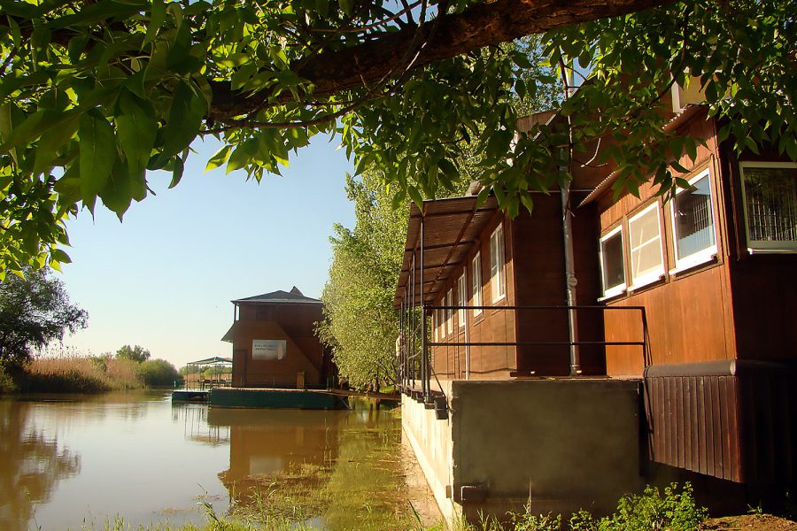 Астраханская рыбалка делает людей и рыбу ближе… ))))